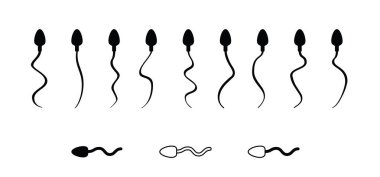 Normal spermatozoid. Çizgi film sperm morfolojisi. Temel sperm hücresi shappappes. Tıbbi, spermatozoon hücreleri çoğalıyor. Üreme erkek sağlığı, tıbbi döllenme kavramı.