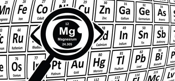 12 numaralı atom, Mg Magnezyum 24.305 magnezyum kimyasal element, periyodik tablo elementleri magnezyum. Nadir toprak elementleri veya nadir toprak metalleri veya nadir toprak konsepti. Vektör sembolü veya simgesi. 