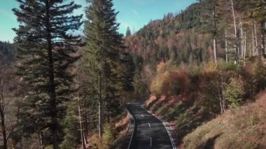 Sonbahar dağlarında asfalt yolda araba sürüyor. Sarı ve turuncu sonbahar ormanlarında siyah arabalı araba yolu. Sonbahar ormanında virajlı bir yol. Aracıyla güzel kıvrımlı geçiş