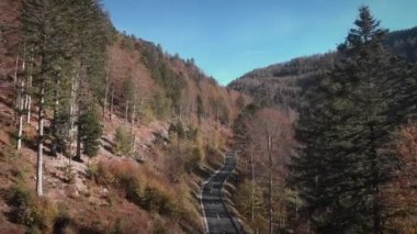 Sonbaharda dağ geçidinde dolambaçlı araba yolu. Sonbahar ormanlarında yeni kavisli asfalt yolda araba sürüyor. Ulaşım konsepti. Güzel renkli sonbahar manzarası