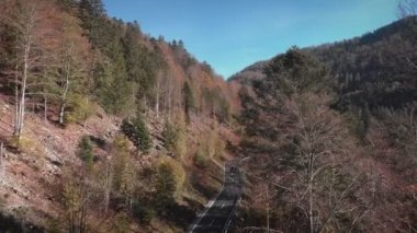 Renkli orman ağaçları ve dolambaçlı asfalt yolu olan dağlarda güzel bir kanyon. Sonbaharda dağ geçidinden geçen yeni bir boş araba yolu. Dağlarda beyaz işaretli kıvrımlı araba yolu