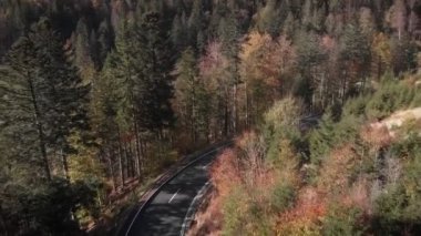 Dağ ormanlarında asfalt yolda giden arabalar ve motosikletler. Sonbahar ormanlarında renkli ağaçlar ve çam ağaçları ile hareket eden bir araba. Sonbahar manzarasında dağdan geçen yeni bir otomobil yolu.