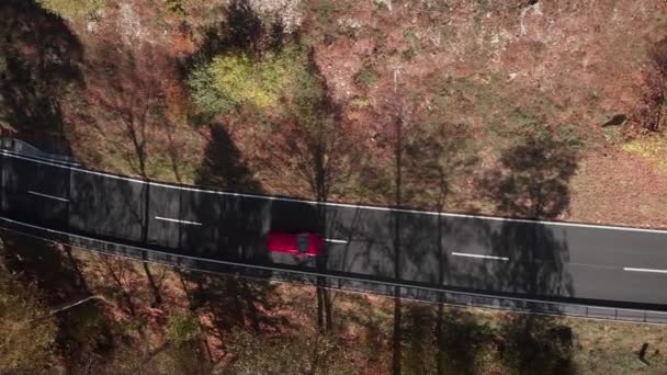 새로운 아스팔트 도로에서 자동차가 운전하고 있습니다 가을에는 소나무와 나무들이 뒤섞인 — 비디오