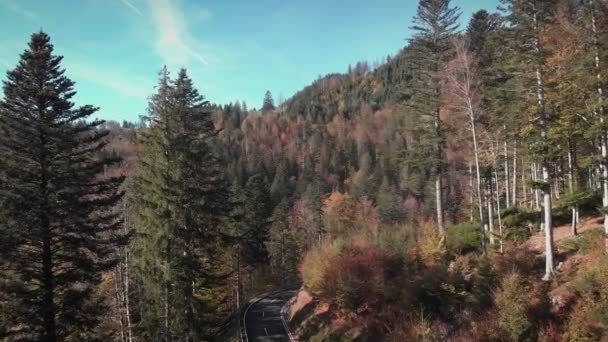 カラフルな木や松の木や空の車の道路と秋の山の風景 山を介して新しいアスファルトの道路の秋に渡します 美しい秋の森 交通概念 — ストック動画