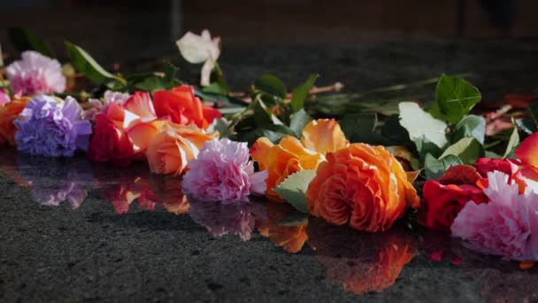 Kolorowe Kwitnące Kwiaty Leżące Powierzchni Wody Tło Kwiatu Kolorowe Róże — Wideo stockowe