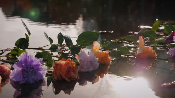 Różne Kwiaty Basenie Piękne Kolorowe Kwiaty Leżące Powierzchni Wody Ozdoba — Wideo stockowe