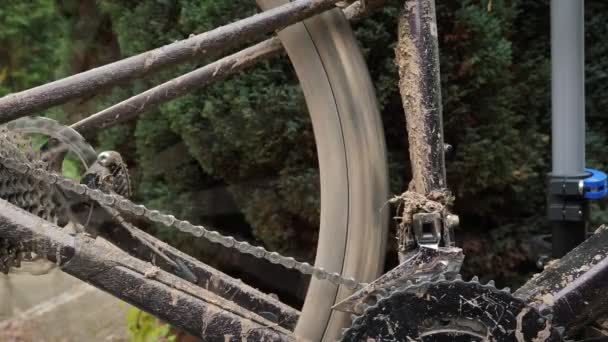 Rotação Roda Bicicleta Cascalho Perto Bicicleta Cascalho Suja Com Roda — Vídeo de Stock