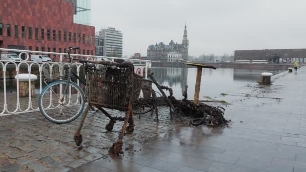 从比利时安特卫普市的河里救了一辆生锈的旧自行车 旧自行车和铁东西在水中被发现是残渣 旧的锈迹斑斑的废弃自行车和从河里拖来的购物车 — 图库视频影像