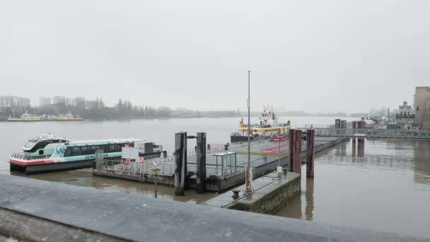 Vattenbuss Lämnar Busstationen Med Passagerare Reser Till Staden Antwerpen Vattenbussen — Stockvideo
