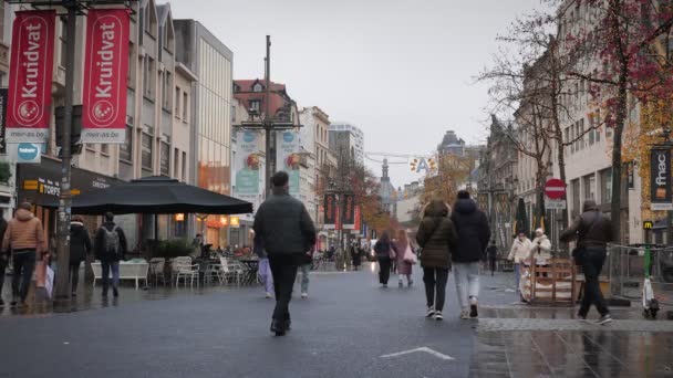 Calle Meir Peatonal Amberes Bélgica Turistas Caminando Por Concurrida Calle — Vídeo de stock