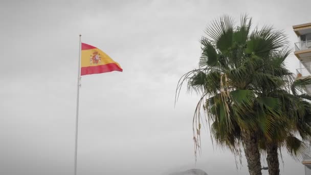灰色の曇りの空とヤシの木に対して手を振ってスペインの旗 スペインの国旗が旗竿に手を振っている 風になびくスペイン国旗と雲を背景に — ストック動画