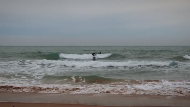 Surfař Jezdí Vlnách Surfař Jezdí Otáčí Sprejem Modré Mořské Vlně — Stock video