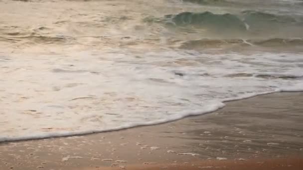 Морские Волны Песчаный Пляж Золотом Летнем Закате Закат Над Морской — стоковое видео