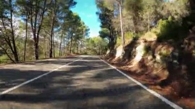 Yeşil orman ve dağlardan geçen boş iki şeritli yolu ilk gören kişi. Güneşli bir günde dolambaçlı dağ yolundan geçmek. Güzel doğa kıvrımlı yol, POV