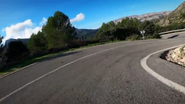 Cyclist Riding Curvy Narrow Asphalt Road Green Trees Forest Silhouette — Stok video