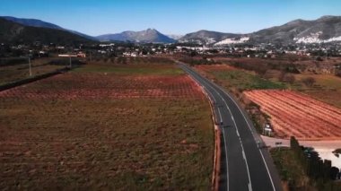 Road cyclists riding on road through vineyards at winter sunny day. Active sport concept. Cycling and triathlon. Professional cyclists training on asphalt car road. Cycling workout. Sport activity
