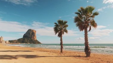 Coastline beach with rocky cliff, sandy beach and palm trees. Coastal landscape with palm trees on the white sand of tropical beach. Beautiful tropical beach with white sand and palm trees
