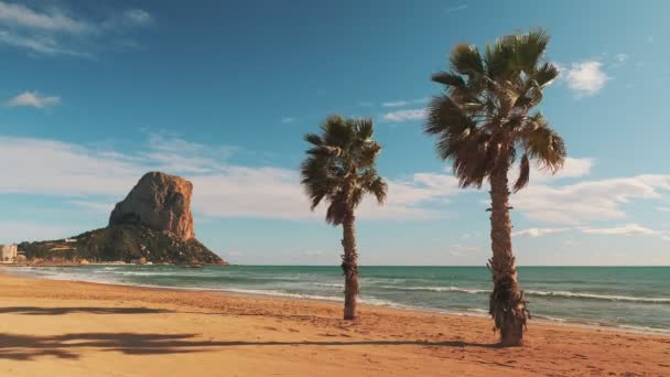 ヤシの木 岩の崖と澄んだ海の水と絵のような熱帯の風景 晴れた日に地中海の海岸線 黄金の砂と青い空に対するヤシの木と海岸 — ストック動画