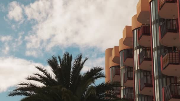 Tropical Background Palm Trees Residential Buildings Blue Sky White Fluffy — Vídeo de Stock