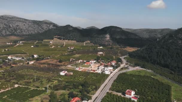Долина Іспанії Оточена Горами Багатьма Апельсиновими Тангенними Плантаціями Зелені Фруктові — стокове відео