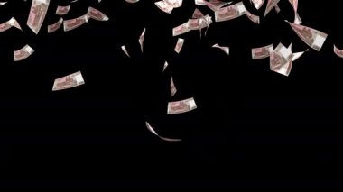 Para yağmuru. KPW Kuzey Kore Kâğıt para banknotları düşüyor. Kuzey Kore 'nin para birimi. Finans ve iş. Animasyon. Alfa kanalı. 3 Boyutlu Hazırlama