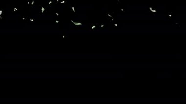 Para yağmuru. 3 boyutlu görüntüleme arkaplanı. Alfa Kanalı. İş başarısı kavramı. 100 dolarlık banknotlar düşüyor. Canlandırma