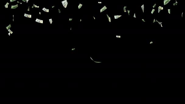 金の雨だ 100ドル紙幣が落ちている アメリカの通貨 米ドル紙幣は下落している 3Dレンダリング アルファチャンネル アニメーション ビジネスと金融の概念 — ストック動画