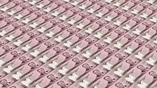 Het Drukken Van Geld Noord Koreaanse Won Kpw Papiergeld Bankbiljetten — Stockvideo
