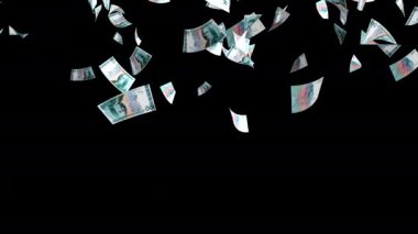 Para yağmuru. SEK kağıt para banknotları düşüyor. İsveç Krona 'nın para faturaları düşüyor. İsveç para birimi. Finans ve iş. Animasyon. Alfa kanalı. 3 Boyutlu Hazırlama