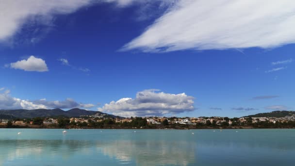 Lago Con Flamenco Rosa Calpe Alicante España Flamencos Rosados Lago — Vídeo de stock