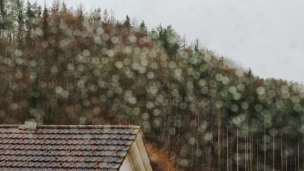 秋雨多云 多风天气 从封闭的窗口看房子 在恶劣的雨天 绿树和松树在风中摇曳 秋天的乡村和自然景观 — 图库视频影像