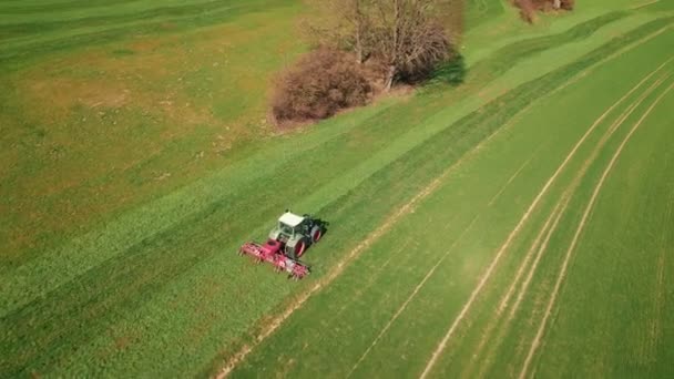 緑の作物畑を肥料農業トラクター 収穫者は春に農業分野で働く機械を組み合わせる 農業と農業の概念 — ストック動画