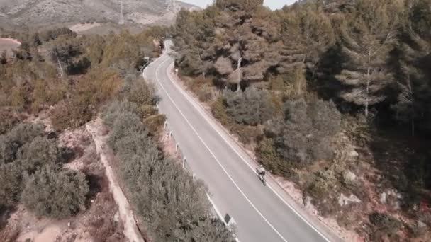 Ciclista Profissional Andar Bicicleta Esportiva Subida Estrada Asfalto Vazio Floresta — Vídeo de Stock