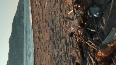 Çöp torbasında plastik toplayan bir gönüllü. Plastik kirliliği. Dikey video. Koruyucu eldivenli genç bir kadın sahilden çöp topluyor. Çevresel sorun kavramı