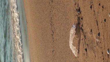 Gönüllü plajdan plastik şişeleri alır. Dikey video. Yeşillik gezegeni. Dünyayı kurtar. Koruyucu eldivenli genç bir kadın çöp torbasında çöp topluyor.