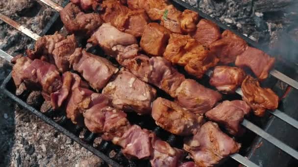 Grătar Kebab Prăjit Frigărui Prăjirea Cărnii Foc Tabără Carne Suculentă — Videoclip de stoc