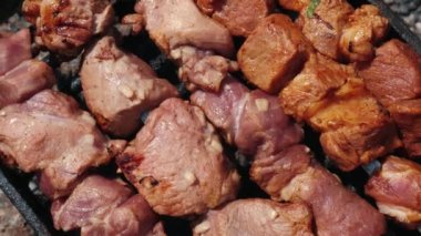 Şişte kızaran sulu et kebabı parçaları. Barbekü eti ateşte kavruluyor. Grill Outdoor 'da. Barbekü. Közde kızartılmış kebap. Piknik ve seyahat macera konsepti