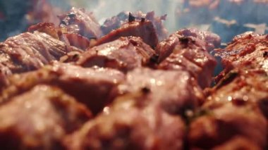 Barbekü ızgarasında ızgara şiş kebap. Sulu et kebabını dumanlı şişte hazırlıyorum. Barbekü. Açık havada ızgara. Piknik zamanı