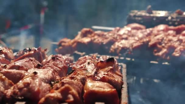 烤烤肉 在篝火中煎 把多汁的肉放在烤架上烤 烤面包机上的烤面包机 野餐时间 户外烧烤 户外探险和旅行概念 — 图库视频影像