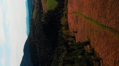 Yeşil dağlar ve çam ağacı ormanı. Dikey video. İnsansız hava aracı güzel doğa manzarası ve vahşi doğa üzerinde uçuyor. Dağların silueti gökyüzüne karşı
