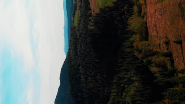 Berglandschaft Flug Über Grüne Kiefernwälder Und Wiesen Vertikales Video Schöne — Stockvideo