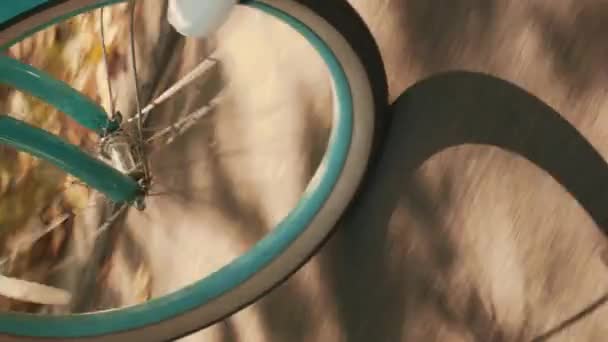 Dönen Mavi Vintage Bisiklet Tekerleği Pedalların Üzerinde Kadın Bacakları Dikey — Stok video