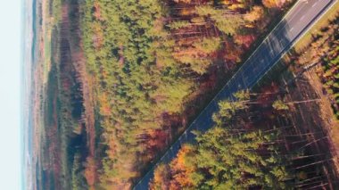 Orman manzarasında hareket halindeki arabalarla modern otoyol. Dikey video. Sürat asfaltı yolda sürüş arabaları var. Sonbahar renkli orman. Vahşi doğa rezervi