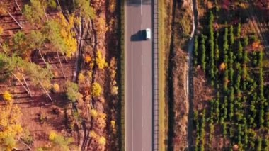 Arabalar ormanda modern hız otoyolu boyunca ilerliyorlar. Dikey video. Asfalt araba yolu, doğa manzarası boyunca araba ve araçlar sürüyor. Renkli sonbahar ormanı
