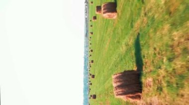 Samanlıklarla dolu bir tarla. Toplanan buğday yığınlarıyla tarım tarlası. Dikey video. Toplanan çavdarlarla kırsal çayırlarda hasat edildi. Tarım sektörü kavramı
