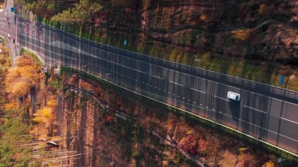Wieloliniowa Autostrada Białymi Drogowskazami Poruszającymi Się Samochodami Pionowe Wideo Droga — Wideo stockowe