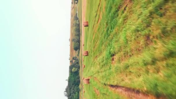 Fpv Drón Lövés Mezőgazdasági Területen Búza Szénakazalban Függőleges Videó Kerek — Stock videók