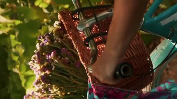 Kierownica Zabytkowego Roweru Retro Kosz Kwiatami Pionowe Wideo Zbliżenie Strzał — Wideo stockowe