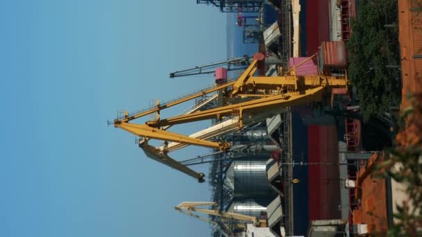 港口有工作的工业起重机 垂直录像 港口装货船的起重机 起重机在港口工作 运输概念 — 图库视频影像