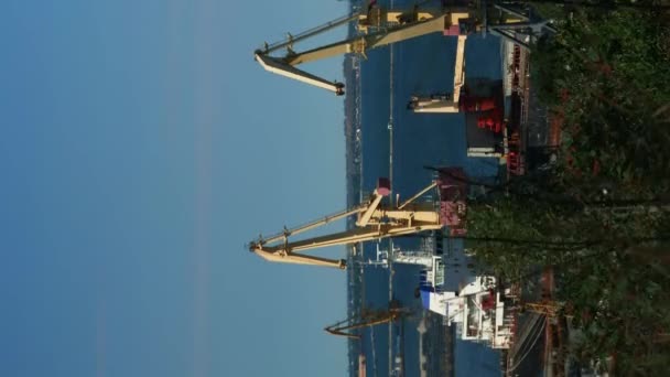 在货运港用起重机装货的船舶 垂直录像 在港口工作的工业起重机 背景上有集装箱 货物运输 逻辑概念 — 图库视频影像